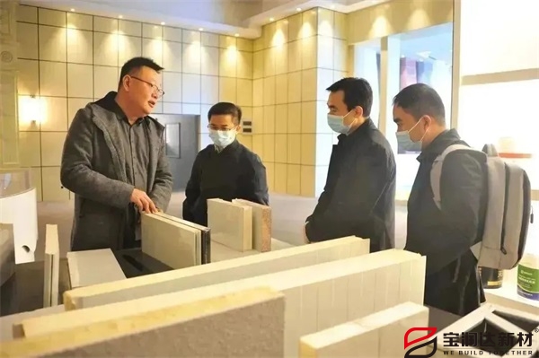 安徽省領(lǐng)導一行蒞臨寶潤達進行調(diào)研